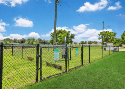 View of Dog Park and Fence